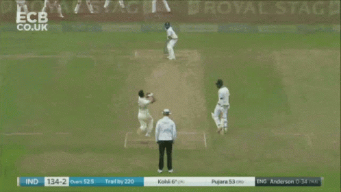 Cover Drive Shot